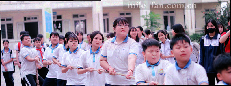 抽象绿色纸笔与橙色图章，代表签署与约定，呼应使用条款内容